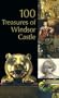 100 Treasures of Windsor Castle: Current Issues of 19th Century Art (Royal Collection)