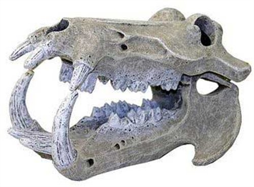 Exotic Environments Hippo Skull Aquarium Ornament, Large, 6-Inch by 10-1/2-Inch by 6-1/4-Inch
