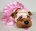 Pound Puppy `I Wish I Were a Ballerina' Bull Dog in Pink Tutu & Slippers