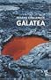 Galatea (Salt Modern Poets S.)