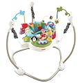 Fisher-Price W9466 Discover and Grow Jumperoo