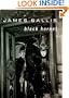Black Hornet: A Lew Griffin Mystery (Library Binder)