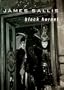 Black Hornet: A Lew Griffin Mystery (Library Binder)