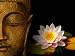 Books : Contos Zen Buddhistas (Portuguese Edition)