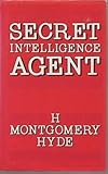 Secret intelligence agent