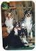 Aussie Australian Shepherd Puzzle w/ Tin Featuring Red & Blue Merle and Red and Black Tri