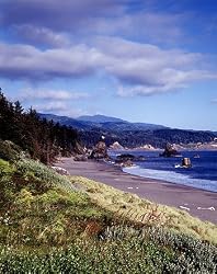 Big Sur, California Photograph - Beautiful 16"x20" Photographic Print by Carol M. Highsmith