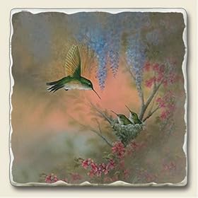 Garden Whispers Hummingbird Tumbled Stone Coaster Set by Highland Graphics Creative Ventures
