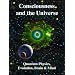 Consciousness and the Universe: Quantum Physics, Evolution, Brain & Mind