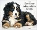 Bernese Mountain Dogs Just Wall - 2008 Calendar