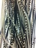 Sexy Sparkles Zebra Black & White Beautiful Feathers for Hair Extension Salon Quality -5 Feathers