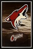 Phoenix Coyotes Framed Poster Print, 25x37