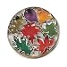 Harold's Kitchen Leaf Cookie Cutter Set