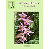 growing orchids a picture guide how we grow orchids in our hawaii garden