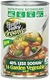 Health Valley Organic Soup, 14 Garden Vegetable, 15 Ounce (Pack of 12)