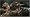 Gears of War 2 Limited Edition