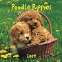 Poodle Puppies 2009 7X7 Mini Wall Calendar