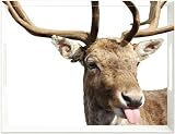 Produkt-Bild: EMSA 506385 Tablett Deer 50x38