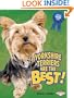 Yorkshire Terriers Are the Best! (Best Dogs Ever)
