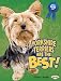yorkshire_terrier33yorkshire terrier - Yorkshire Terriers Are the Best The Best Dogs