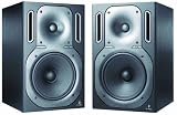 Behringer B2031A Truth 2 Way Reference Studio Monitor