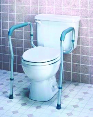 Toilet Safety Frame