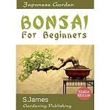 Bonsai For Beginners - Bonsai Types And Styles And How To Take Care Of Your Bonsai Tree