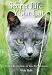 The Secret Life of Your Cat: Unlock the Mysteries of Your Pet's Behavior
