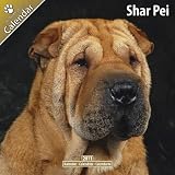 \"SHAR