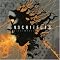 Architects Picture 3
