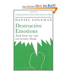 Destructive Emotions