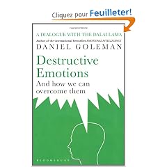 Destructive Emotions