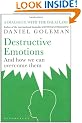 Destructive Emotions