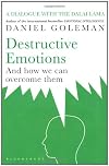 Destructive Emotions: How Can We Overcome Them?: A Scientific Dialogue with the Dalai Lama