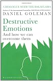 Destructive Emotions