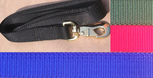 6 Foot Black Nylon Dog Leash – Medium to Large Dogs