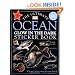 Glow in the Dark: Ocean Creatures (Ultimate Sticker Books)