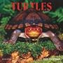 Turtles 2009 Square Wall Calendar
