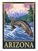 Fly Fishing Scene - Arizona Premium Poster Print, 18x24