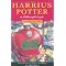 The Harry Potter Curriculum