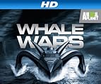 Whale Wars [HD]: Whale Wars Season 3 [HD]