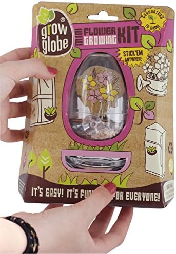 Mini Flowers Growing Terrarium Kit