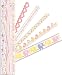 KandCompany Itsy Bitsy Baby Girl Adhesive Borders