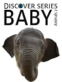 Baby Animals 2 (Discover Series Picture Books for Children)