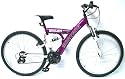 Montana Sakura Bike 24" Frame