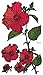 Supperb Mix Flower Temporary Tattoos Ii / 6-pack Floral Tattoo