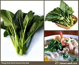 51hXZkLa1QL. SL160  Nature Seeds Dark Leaf Choy Sum 1000 Vegetable Gardening Seeds