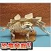 恐竜ボーン発掘キット ステゴザウルス