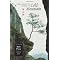 on cold mountain said han shan a zen poet