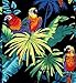 RJC Boys Jungle Parrot Shirt in Black - 10